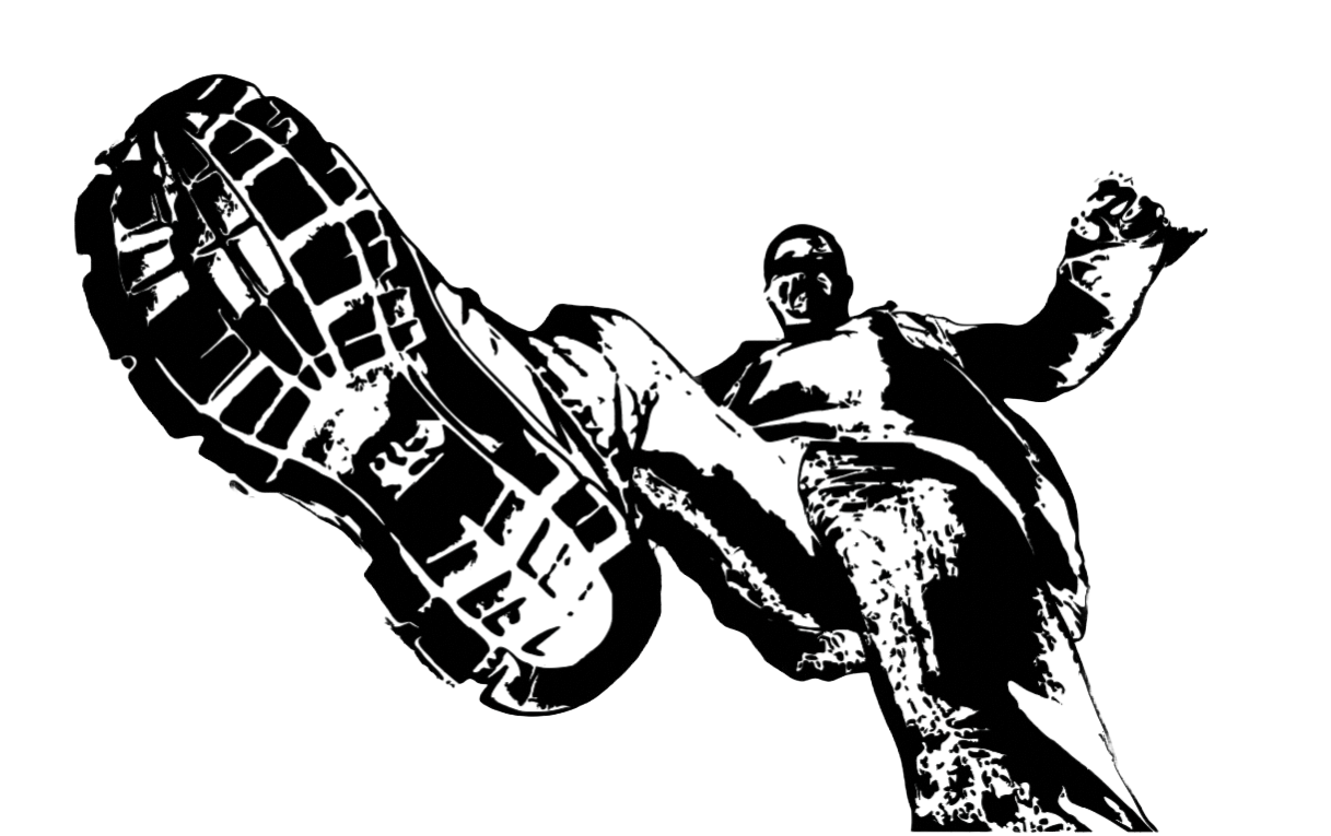 THE MOTION COLLECTION